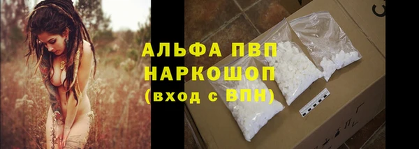 a pvp Зеленокумск