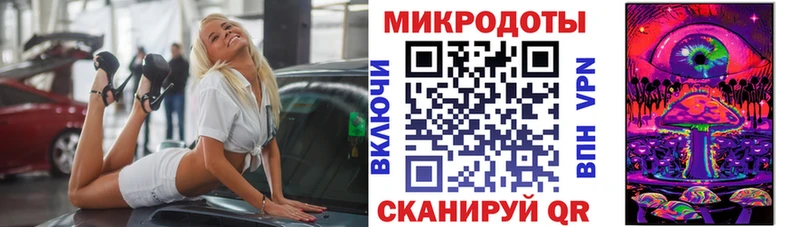 закладка  Майский  Галлюциногенные грибы Magic Shrooms 